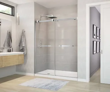 Shower Door